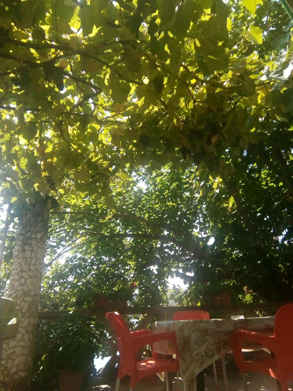 Mustafaraj Apartments 사밀 외부 사진